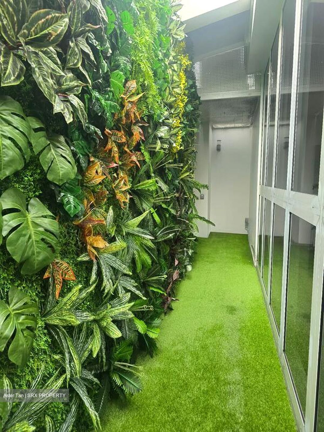 Turquoise (D4), Condominium #498940761